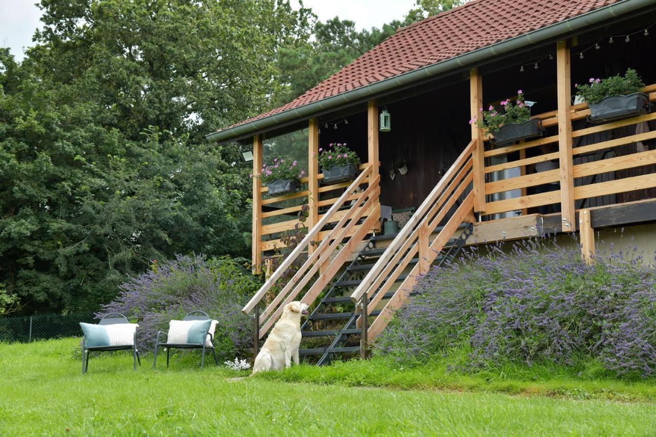 Le Chalet D'Eliot Chevigny  Buitenkant foto